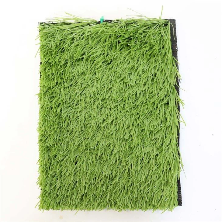 Artificial Turf Field