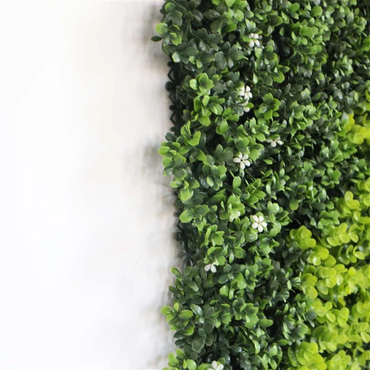 Best Plants For Indoor Plant Wall