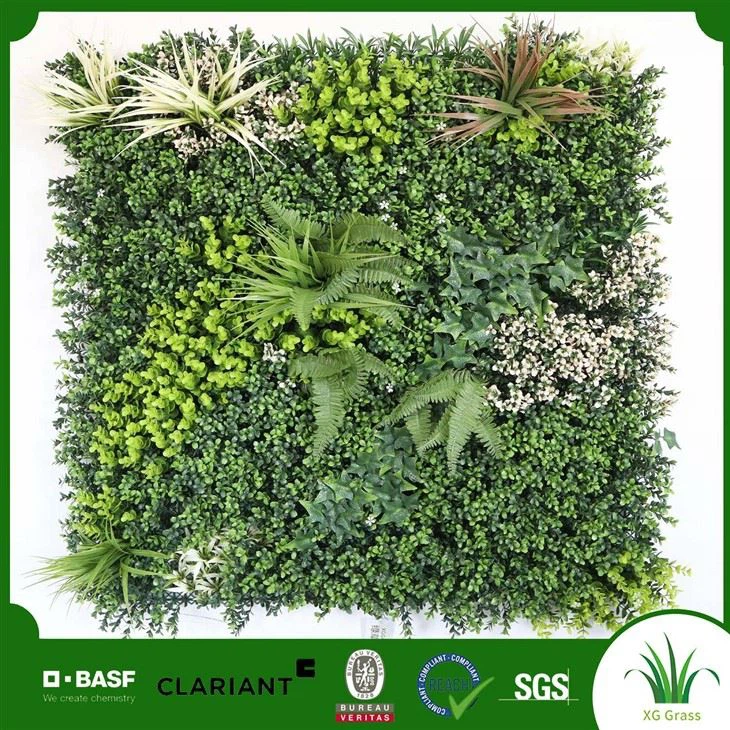 Bästa växter för inomhusväxtvägg