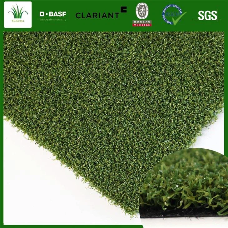 Golf Putting Green/Mat-Golf träningsmatta Bakgård Golf konstgräs