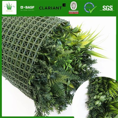 Bästa vertikala inomhusträdgård