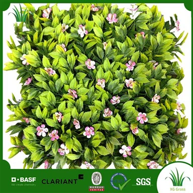 Bästa inomhusväggväxter