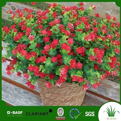 Falska Körsbär Blomning Träd