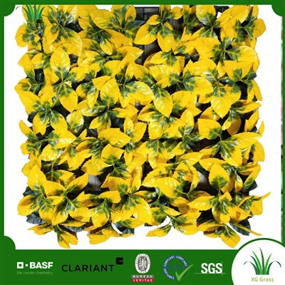 Hängande trädgårdsvägg inomhus