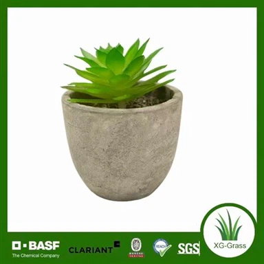 Perpetual Pebble Suckulenter