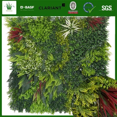 Väggplantor inomhus