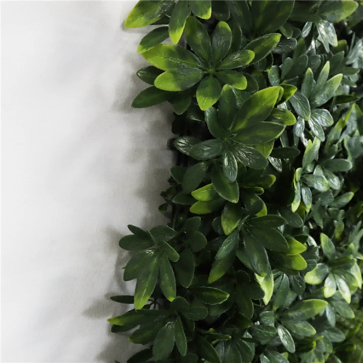 Vertical Garden Green Wall